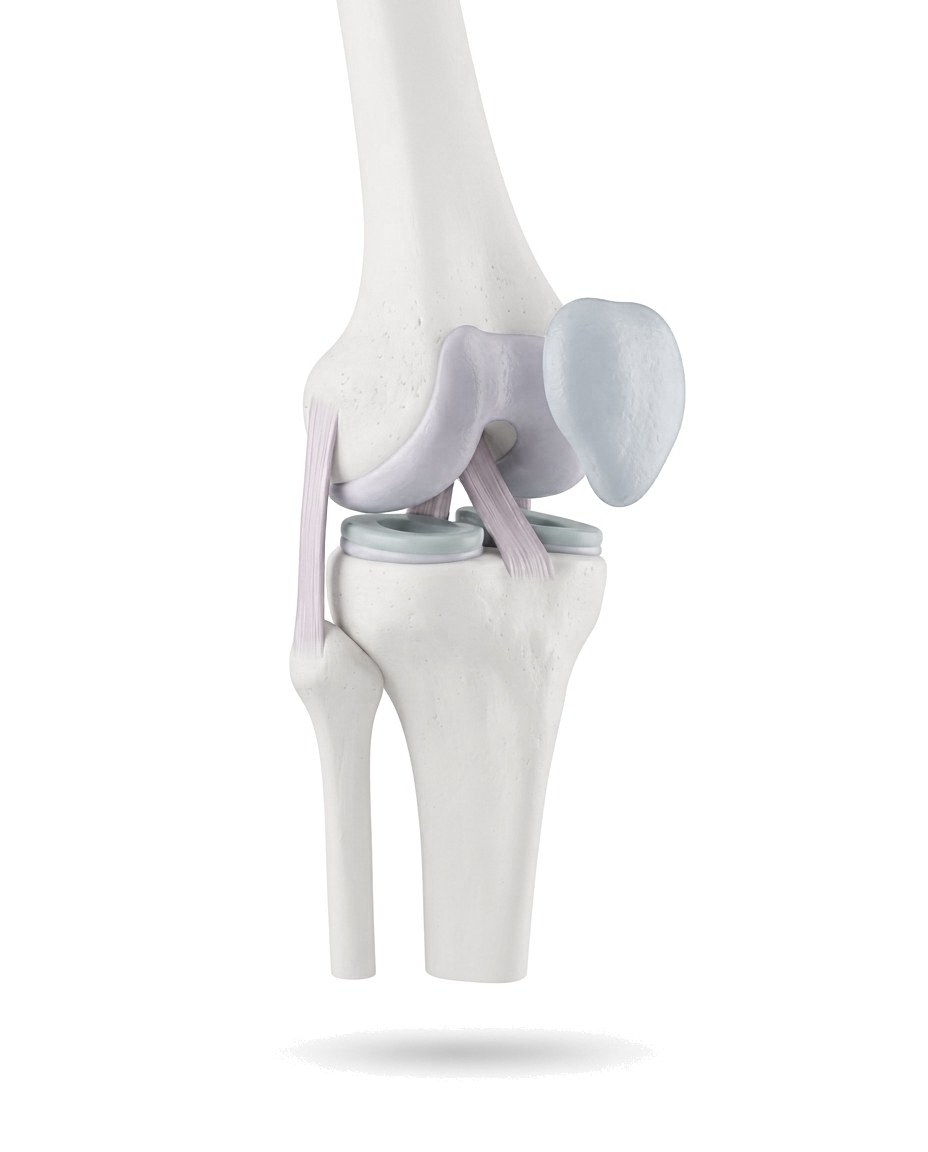 Knie